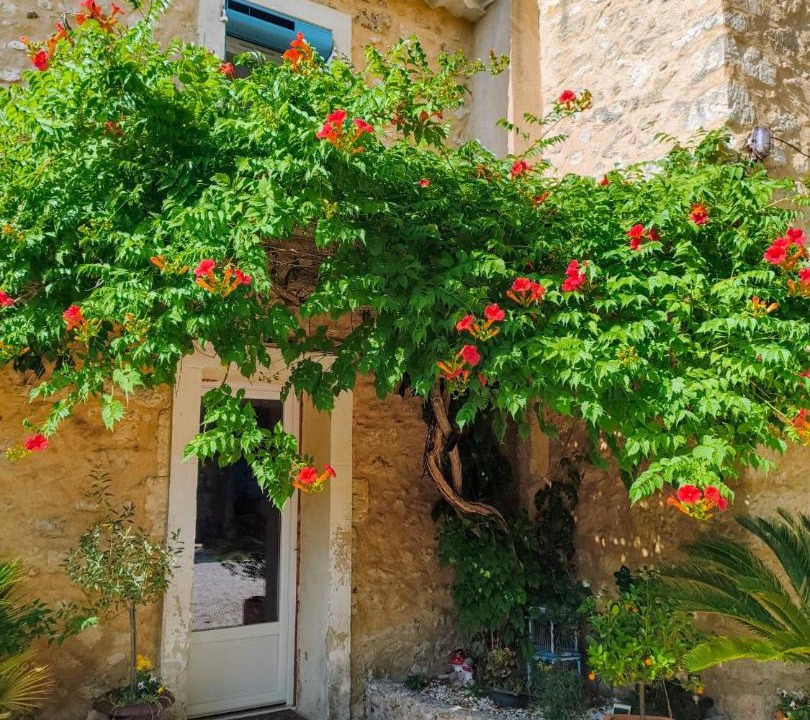 Photo of Others in Saint-Paul-Trois-Chateaux