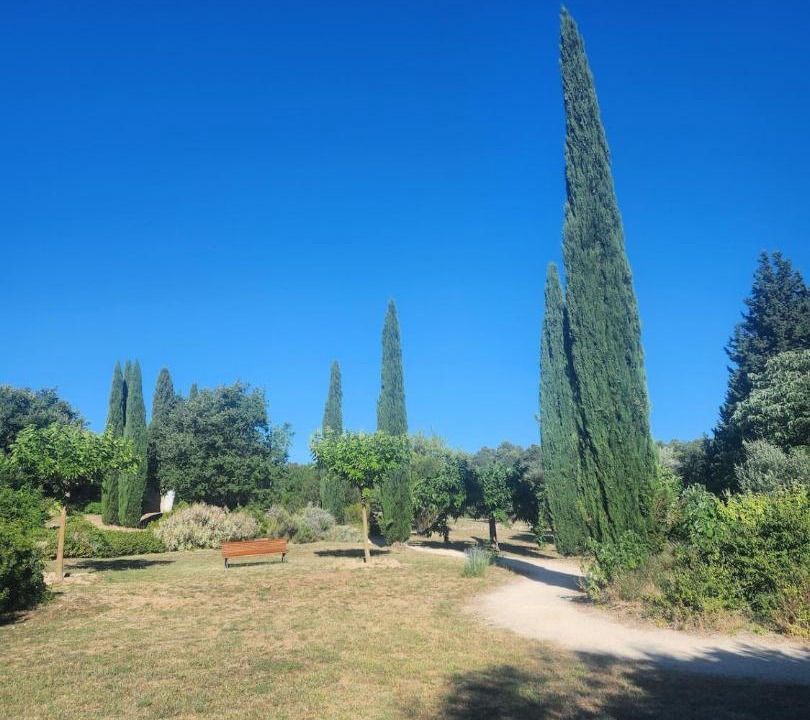 Photo of Others in La Roque-sur-Pernes