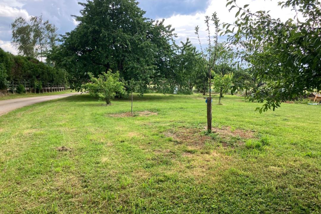 Photo of Outdoor in Molamboz