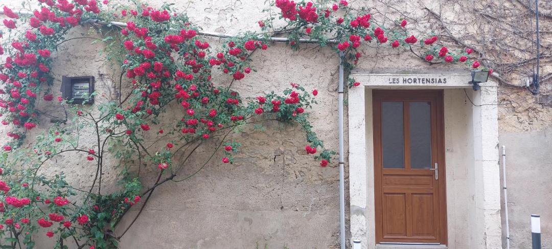 Photo of Others in Bourbonne-les-Bains