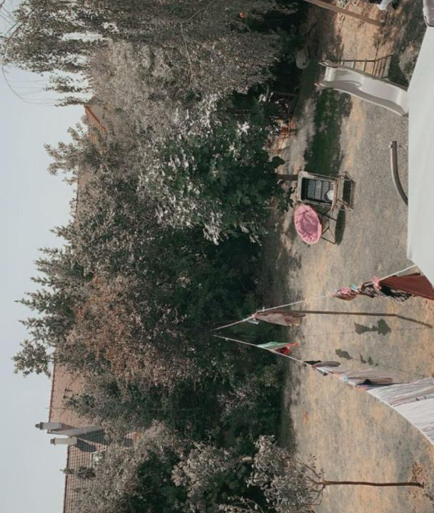 Photo of Others in Juvisy-sur-Orge