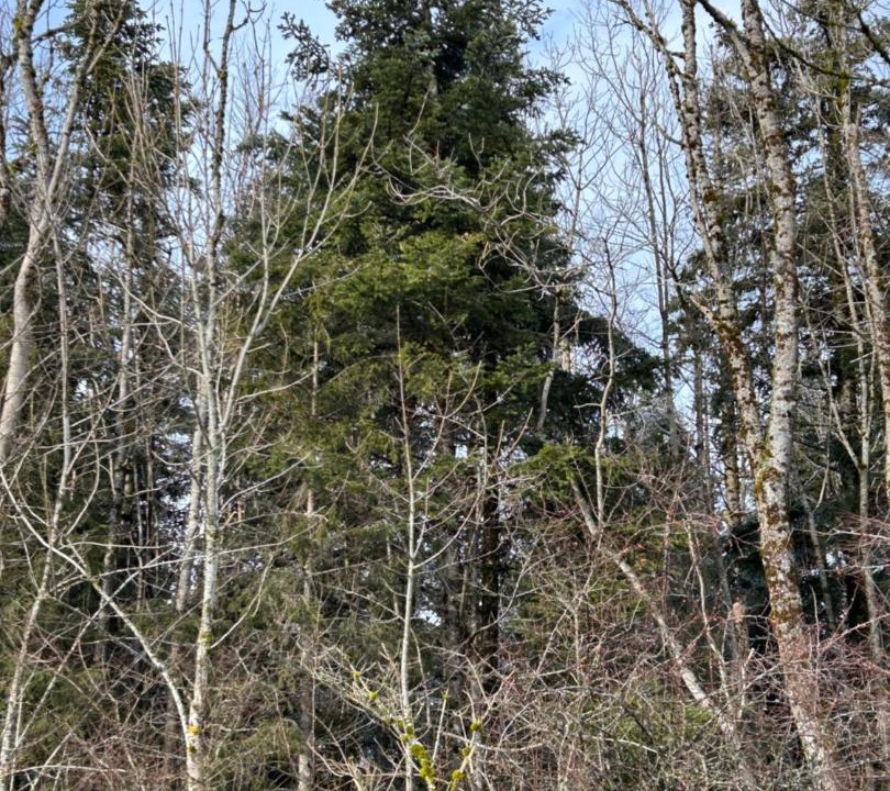 Photo of Others in Arc-sous-Cicon