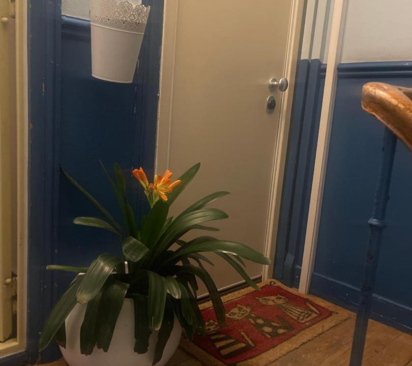 Photo of Bathroom in Louis Bertrand-Mirabeau-Semard