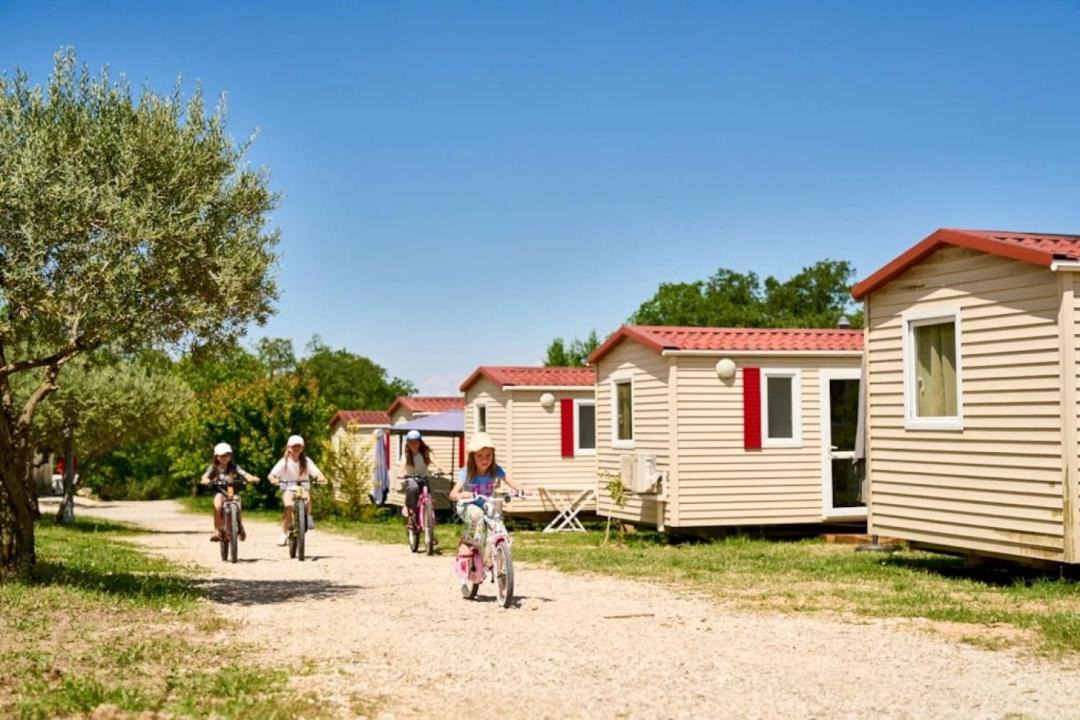 Photo of Others in Malemort-du-Comtat