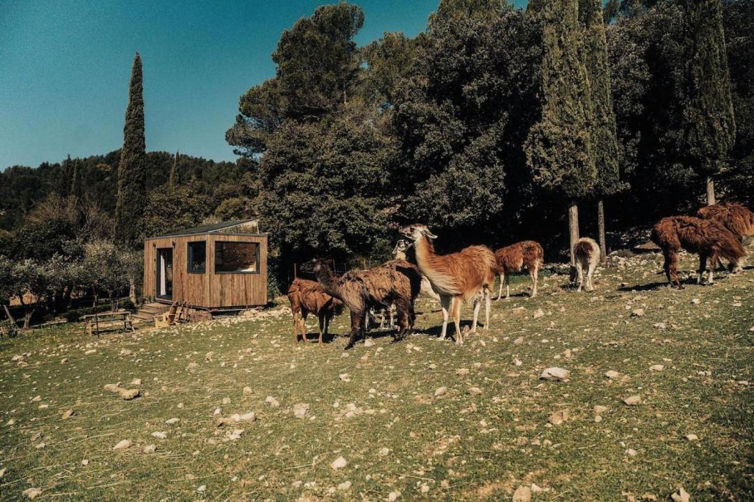 Photo of Others in Le Barroux