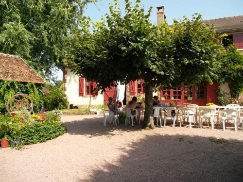 Photo of Others in Saligny-sur-Roudon