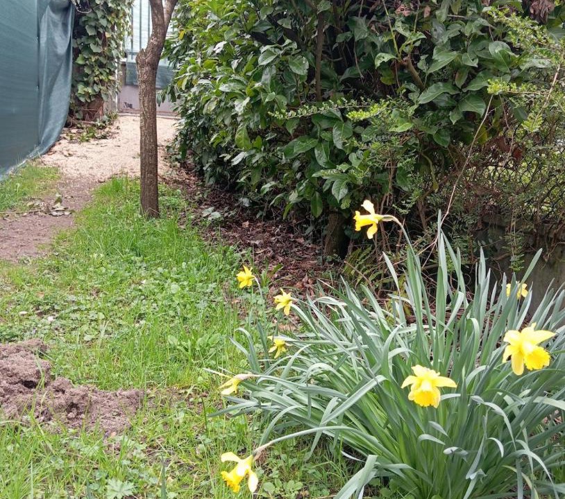 Photo of Outdoor in Saint-Marcellin