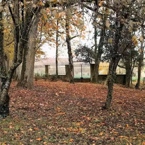 Photo of Others in Parigny-les-Vaux