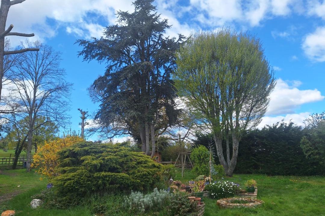 Photo of Others in Saint-Remy-en-Rollat