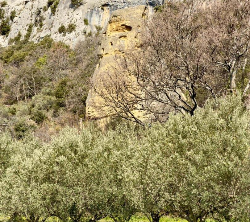 Photo of Others in Beaumont-du-Ventoux