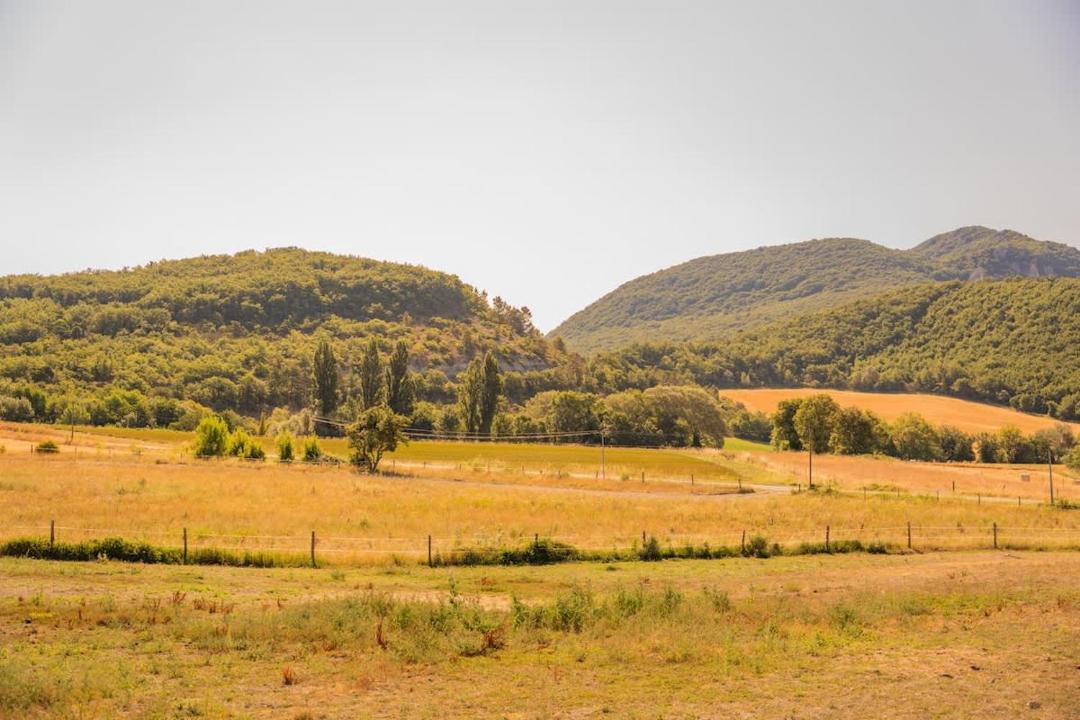 Photo of Others in Puy-Saint-Martin