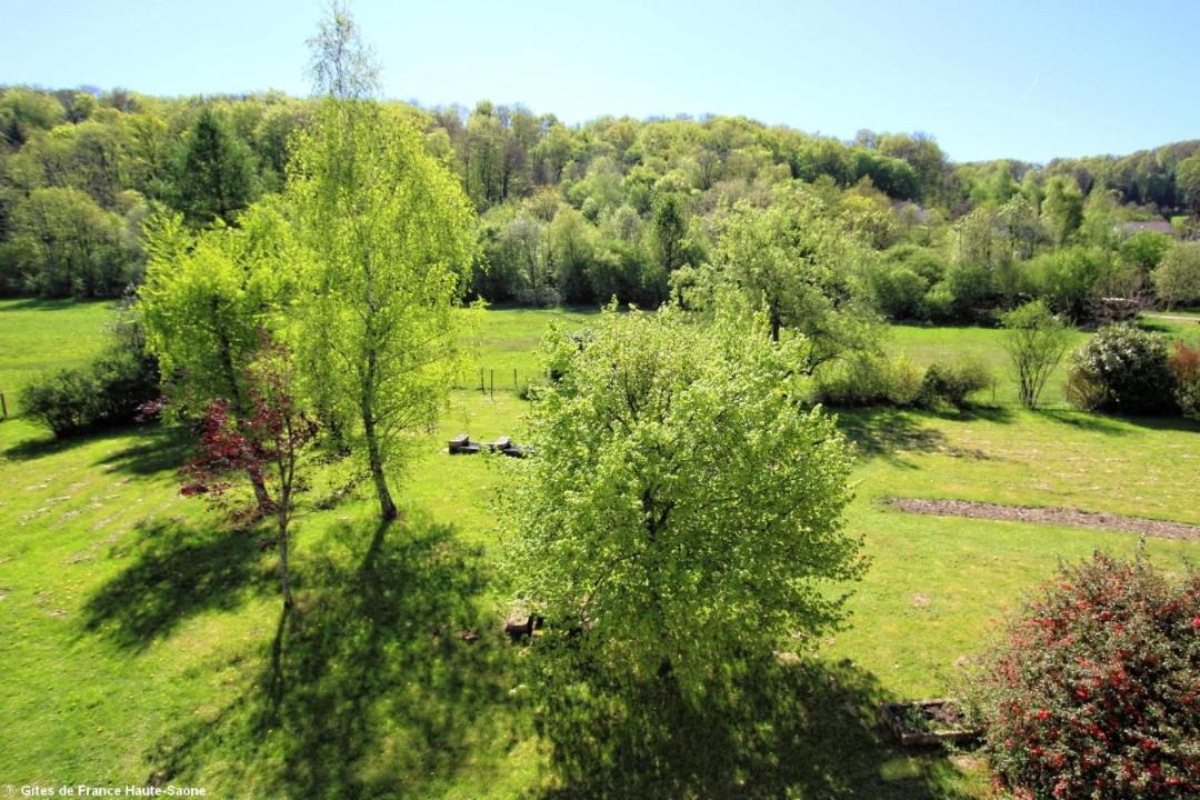 Photo of Others in Fougerolles