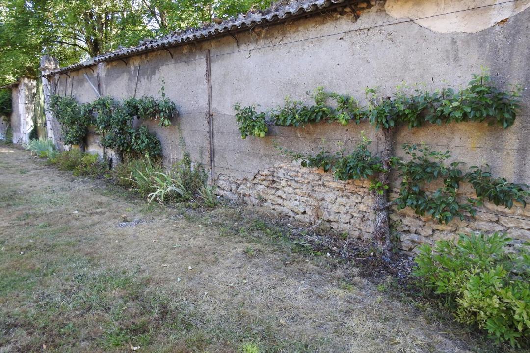 Photo of Others in Roches-Bettaincourt