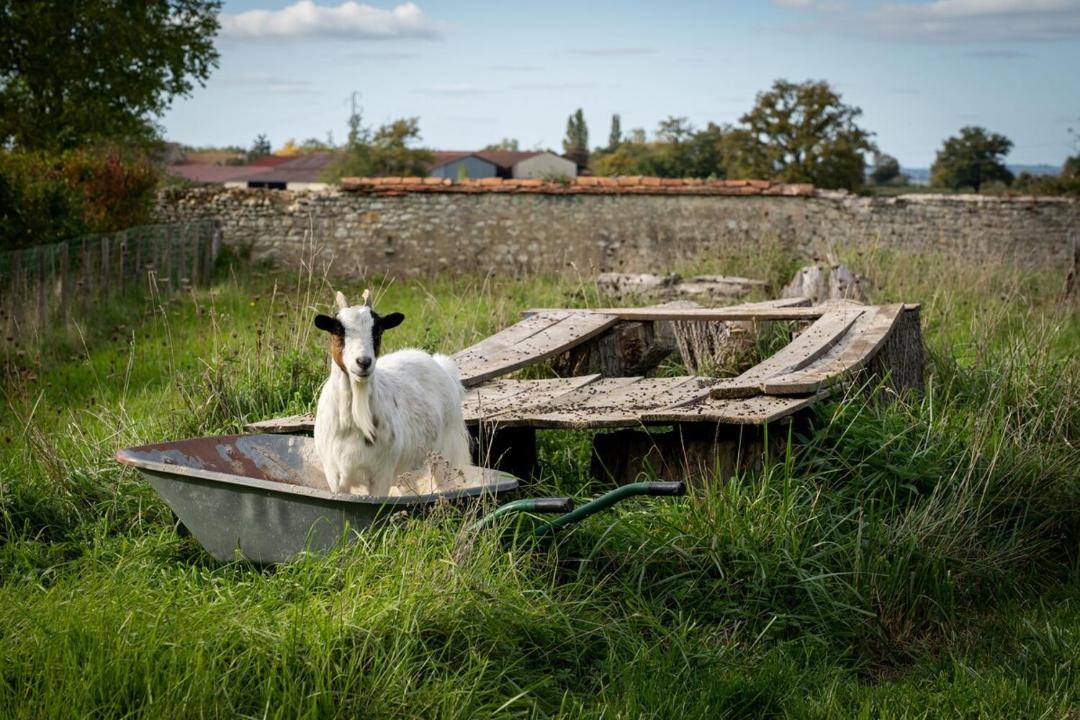 Photo of Others in Souvigny