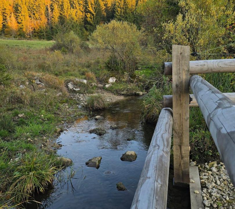 Photo of Others in Lac-des-Rouges-Truites