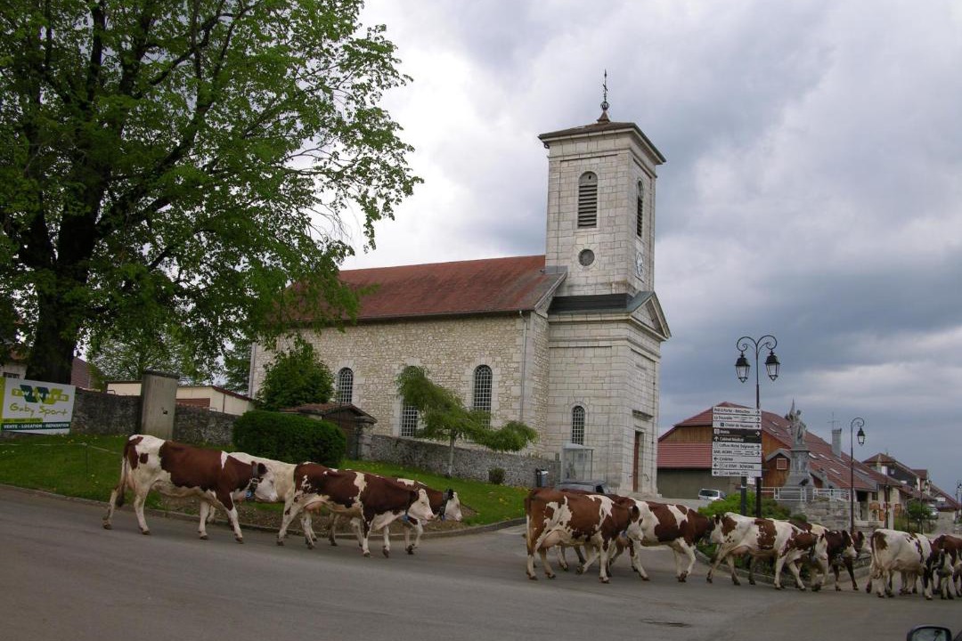 Photo of Buildings in Metabief