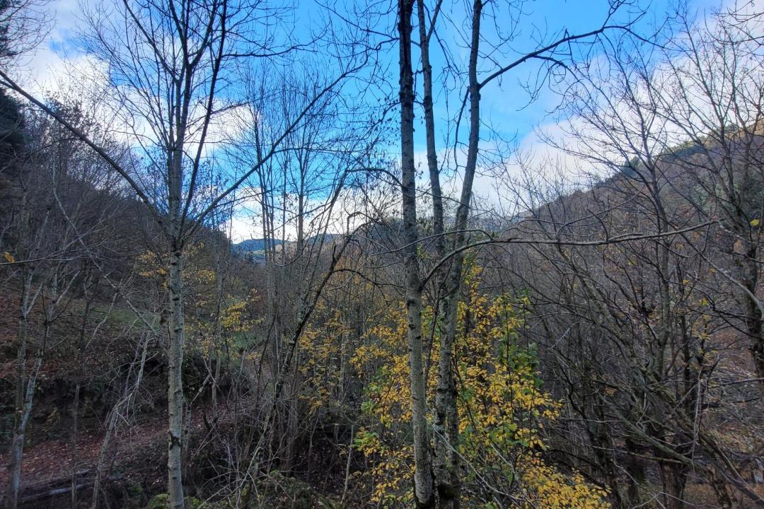 Photo of Outdoor in Ardeche