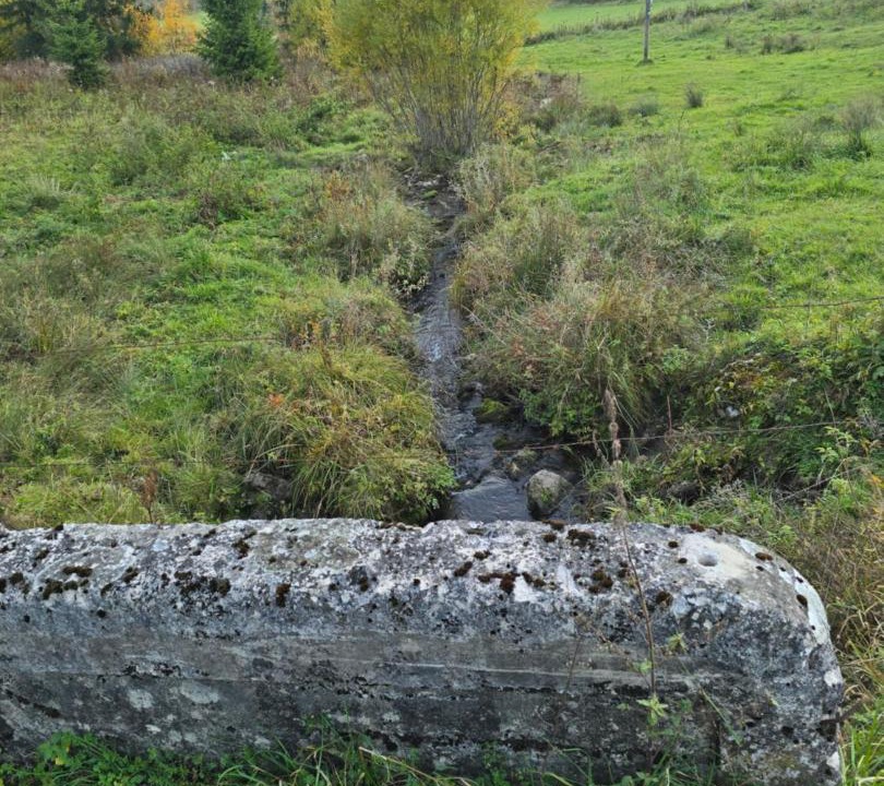 Photo of Others in Lac-des-Rouges-Truites