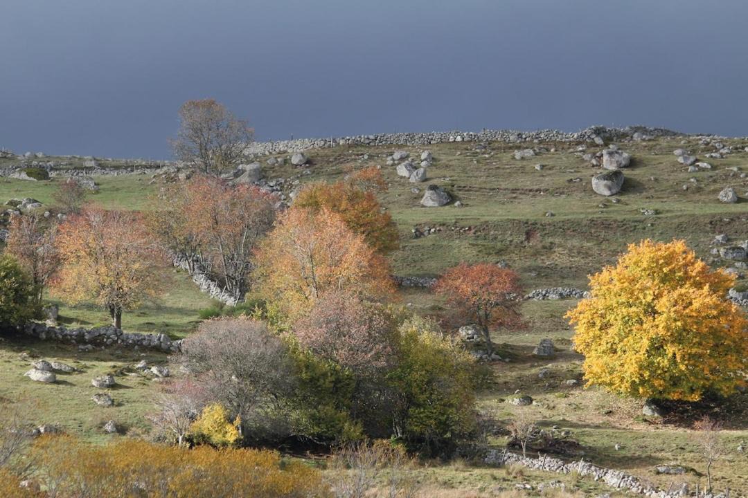 Photo of Others in Prinsuejols