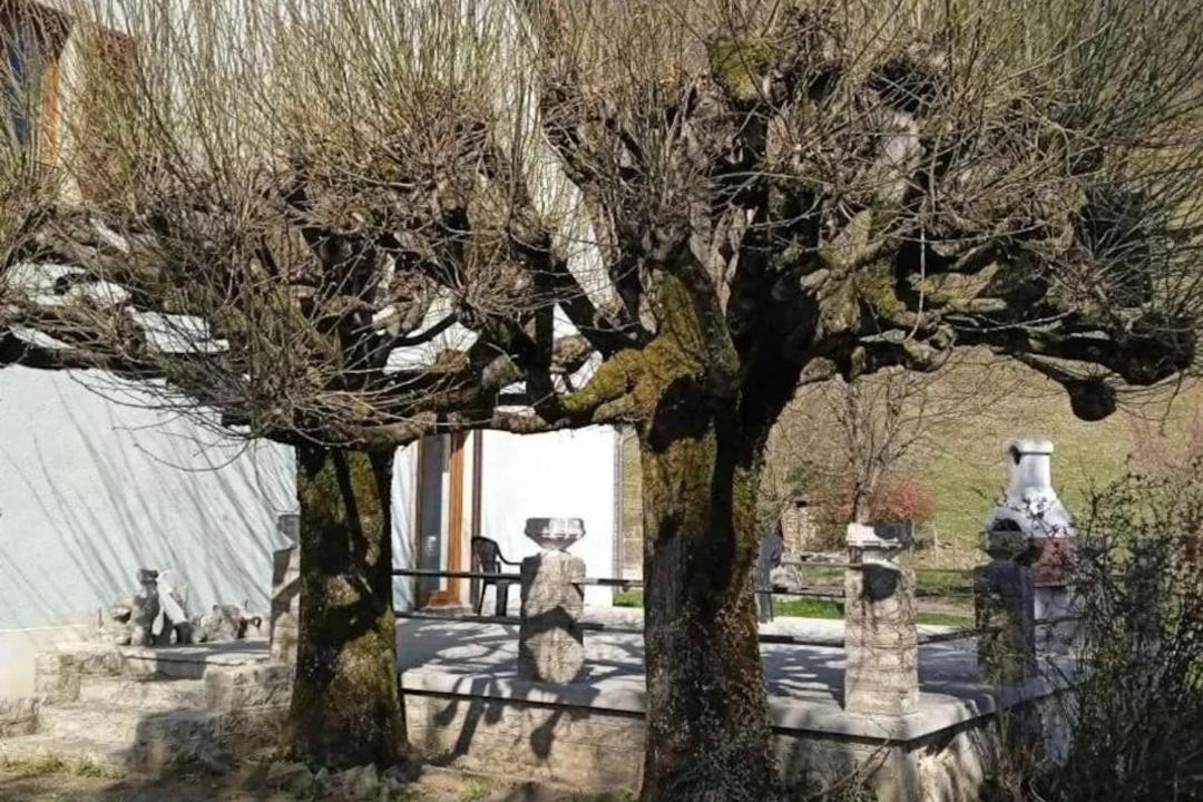 Photo of Others in Nevy-sur-Seille