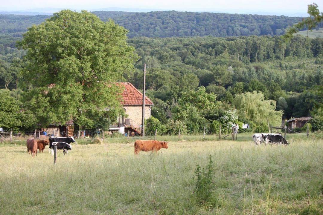 Photo of Others in Genevreuille