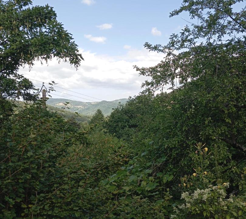 Photo of Others in Saint-Agreve