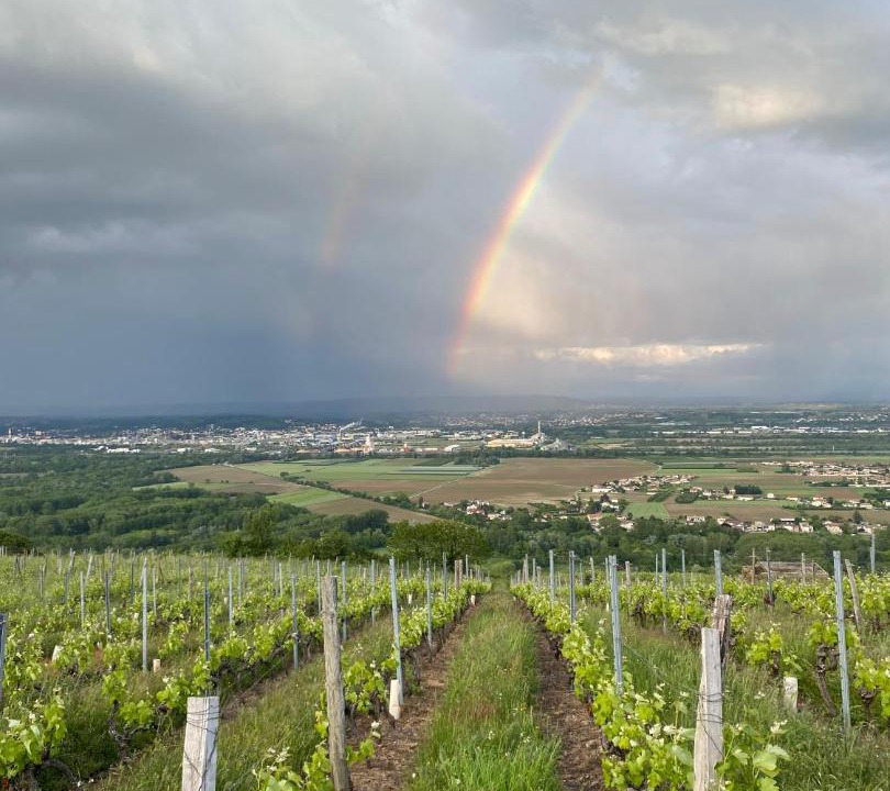 Photo of Others in Annonay Rhone Agglomeration