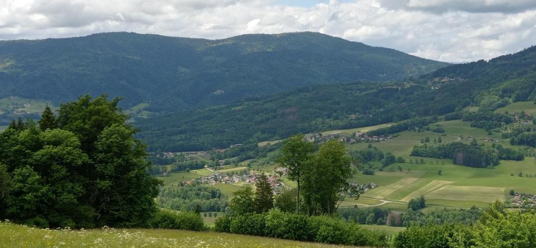 Photo of Others in Villard
