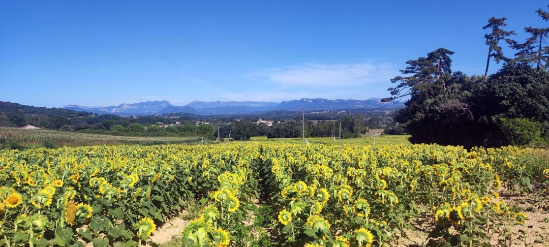 Photo of Others in Montelimar