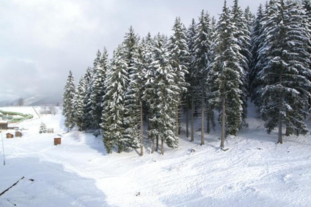 Photo of Others in Prapoutel