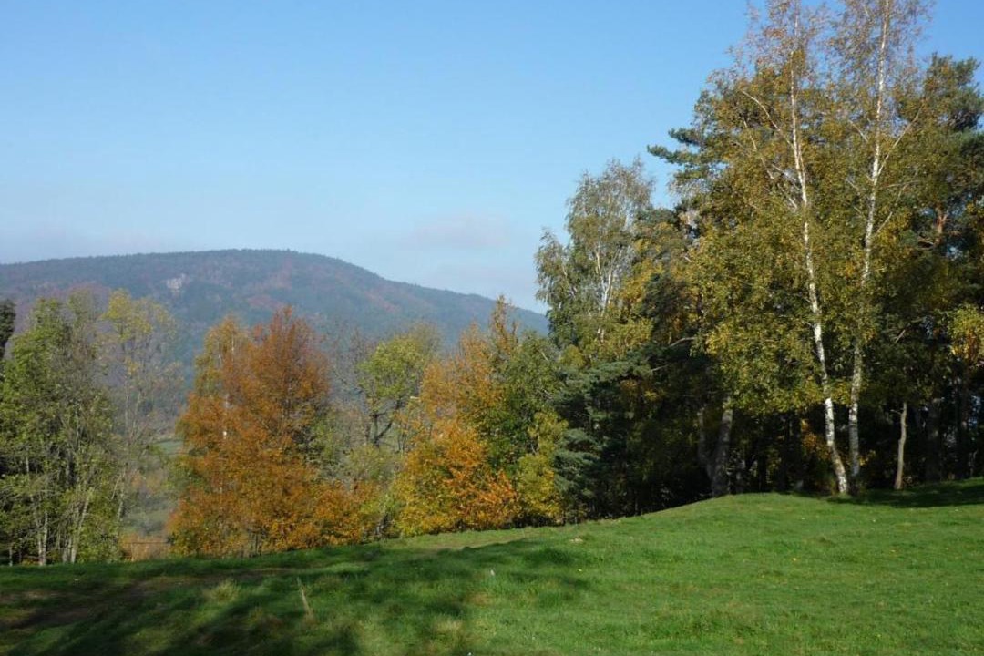 Photo of Others in Sauvain
