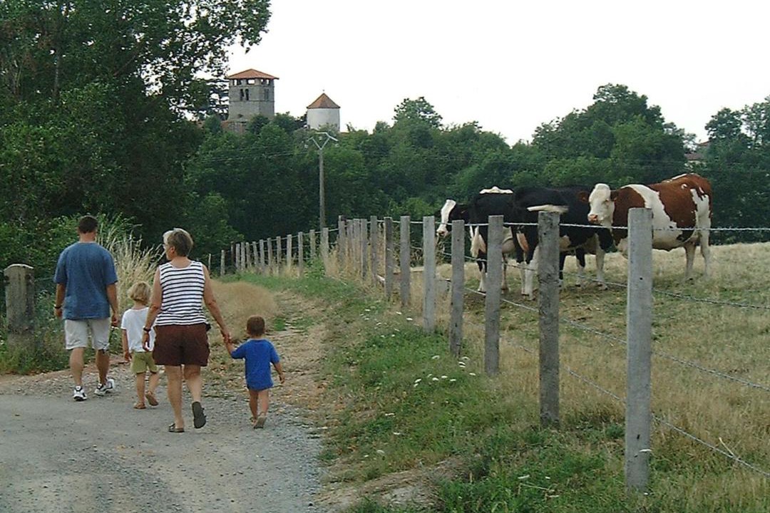 Photo of Others in Saint-Germain-Laval