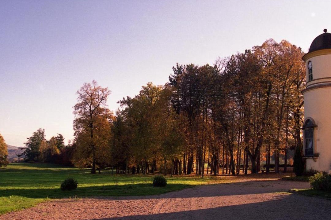 Photo of Others in Parigny