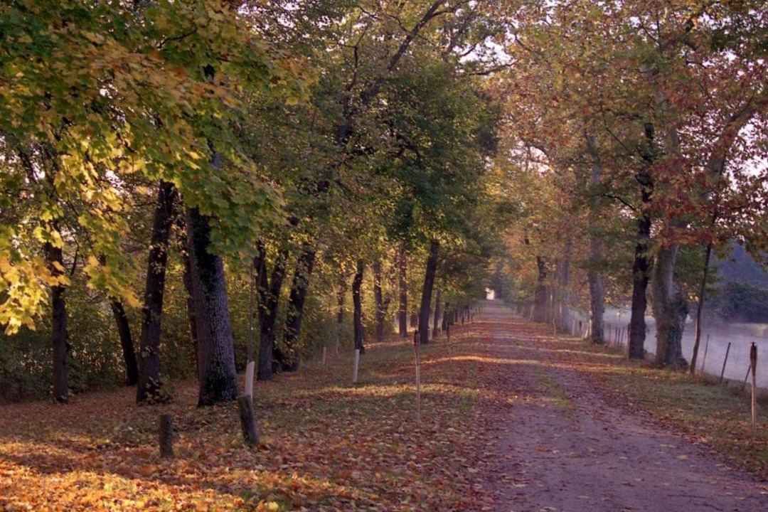 Photo of Others in Parigny