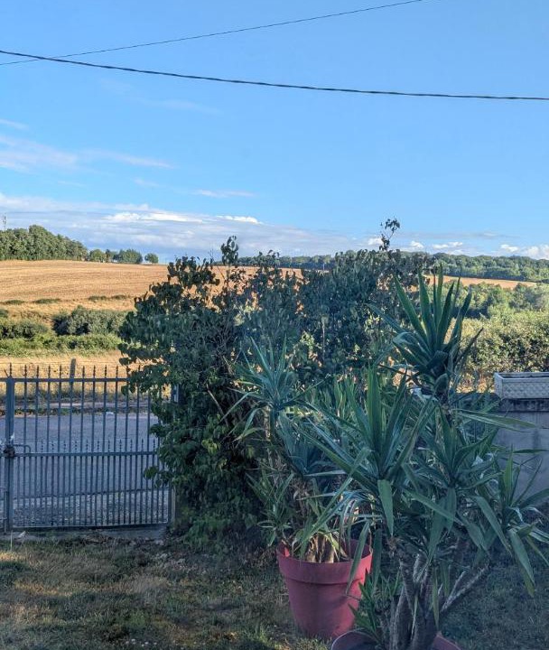 Photo of Others in Chevenon