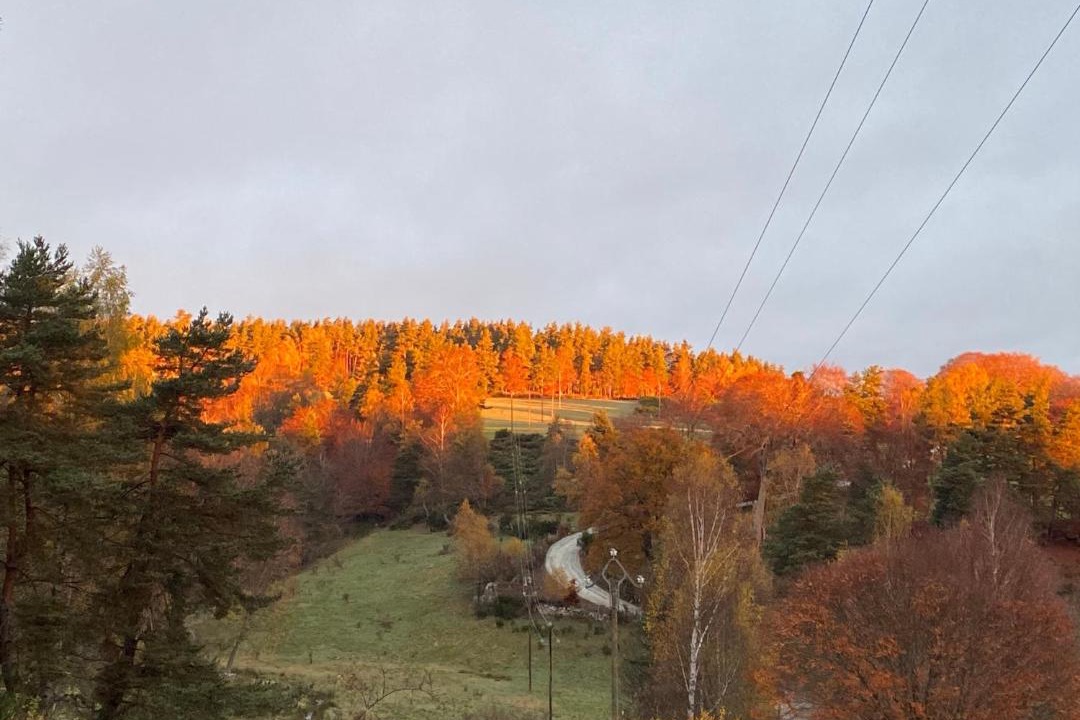 Photo of Others in Peyre-en-Aubrac