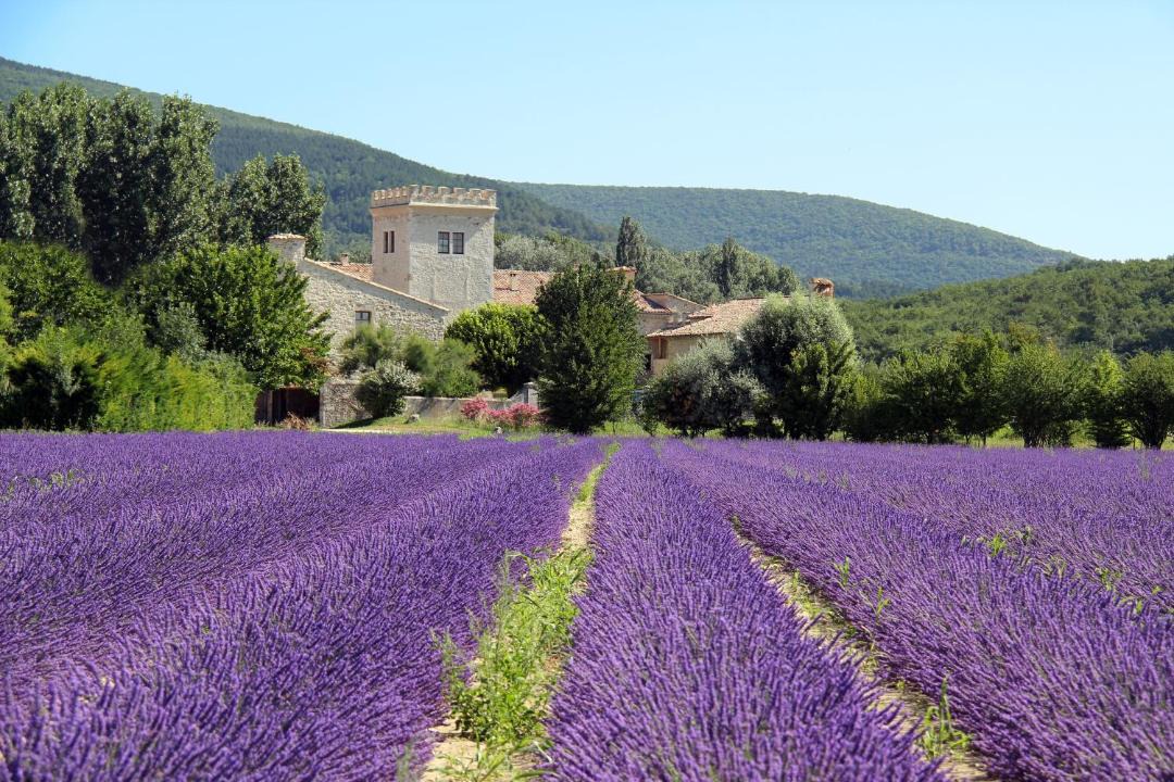 Photo of Others in Montelimar