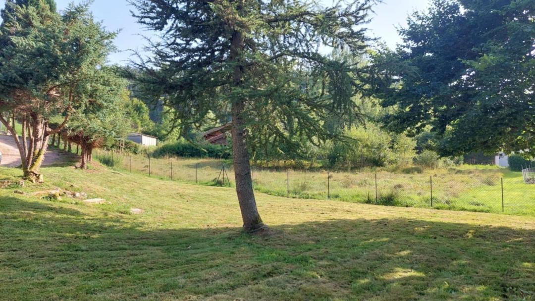 Photo of Others in Gerardmer