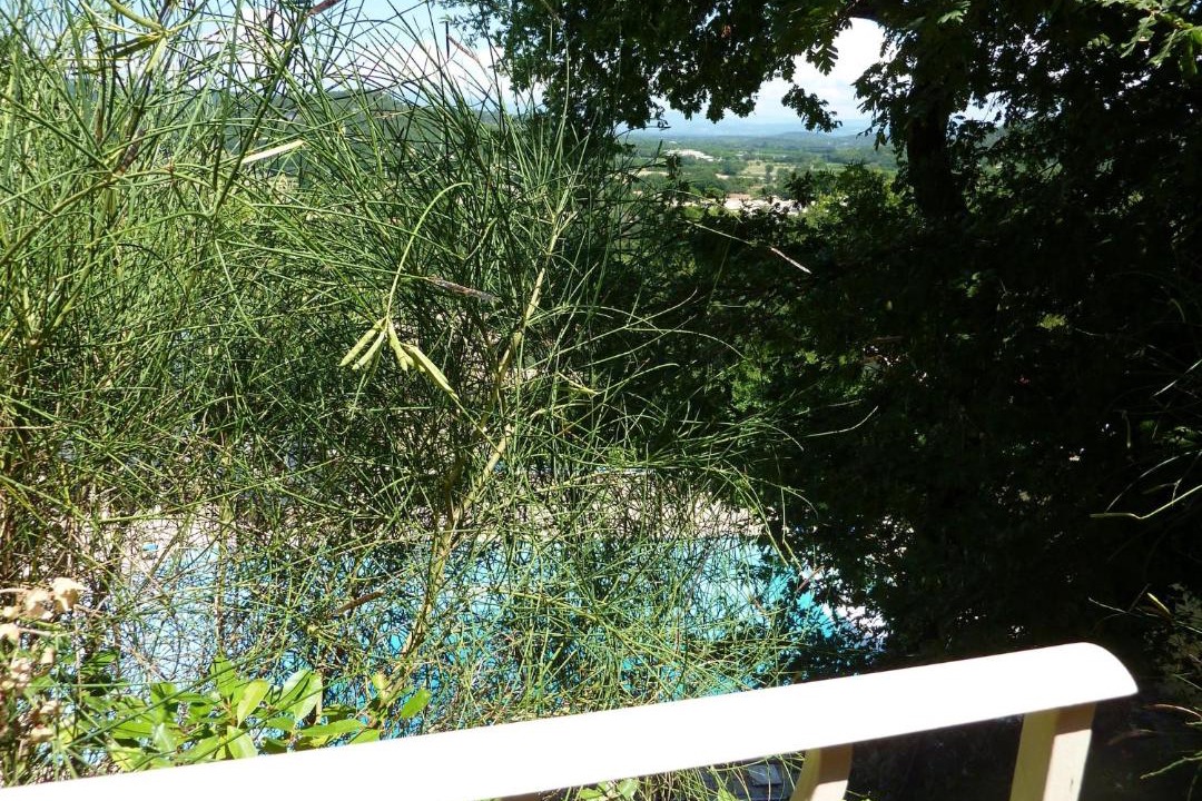 Photo of Others in Saint-Paul-Trois-Chateaux