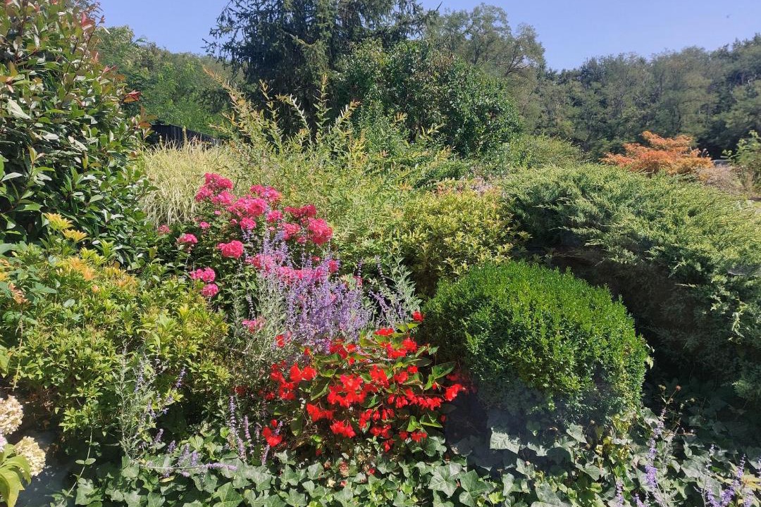 Photo of Others in Gilly-sur-Loire
