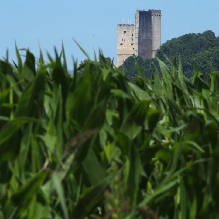 Photo of Others in Aouste-sur-Sye
