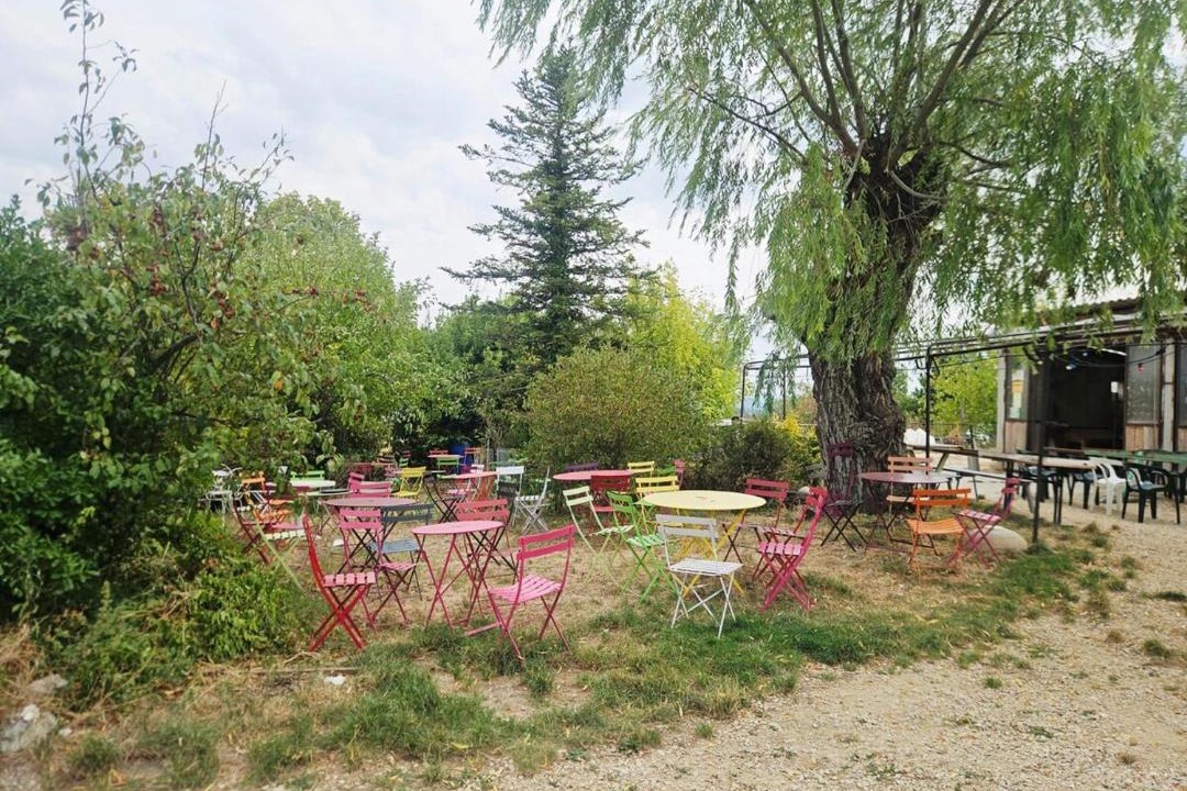 Photo of Others in Marsanne