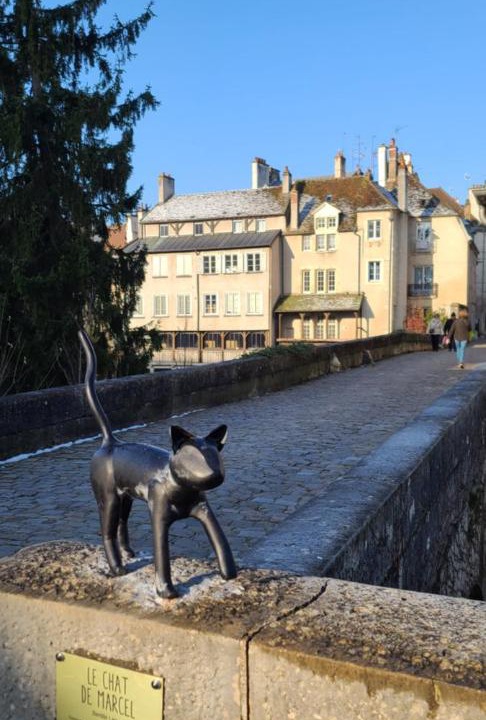 Photo of Others in Paroisse Notre-Dame