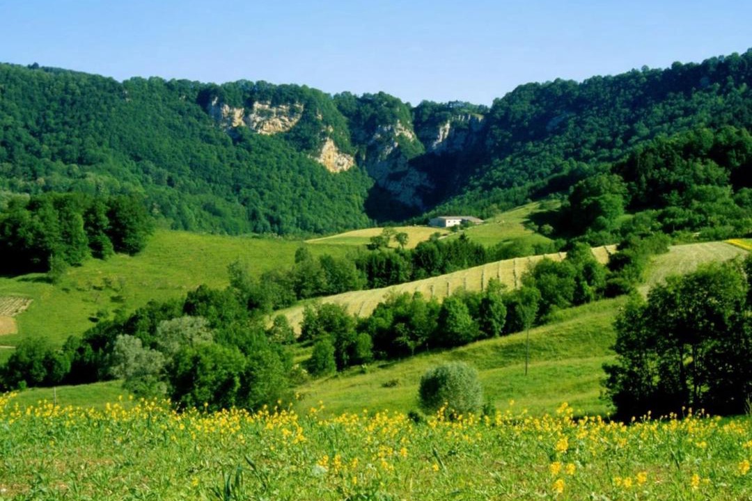 Photo of Others in Graye-et-Charnay