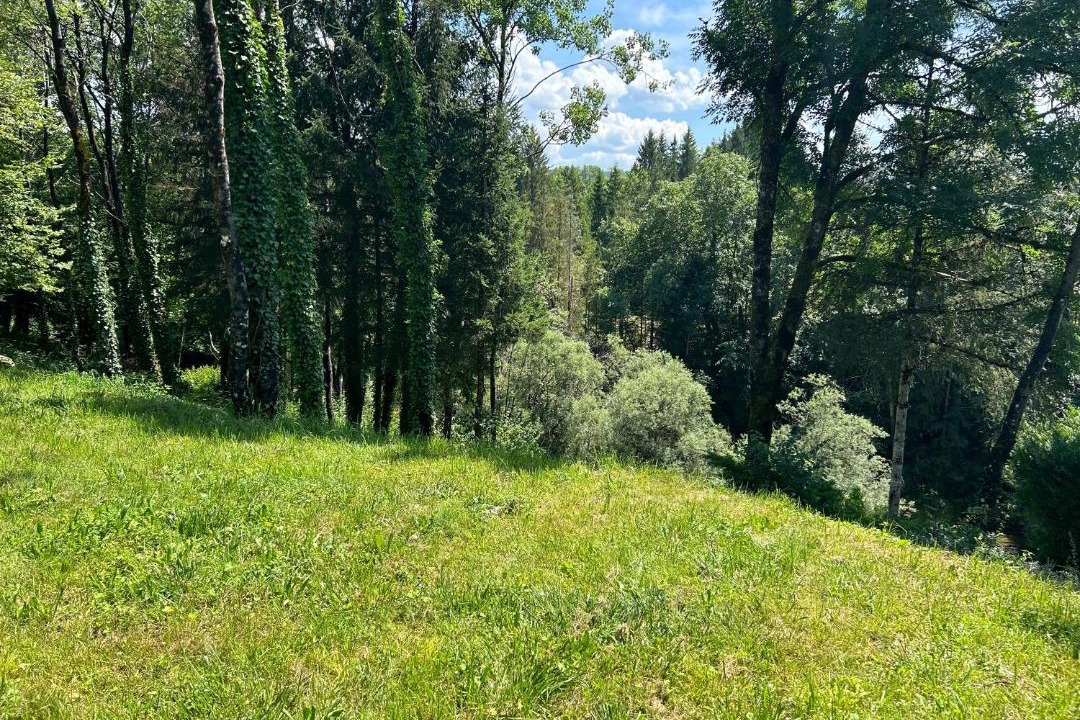 Photo of Others in Bourg-de-Sirod