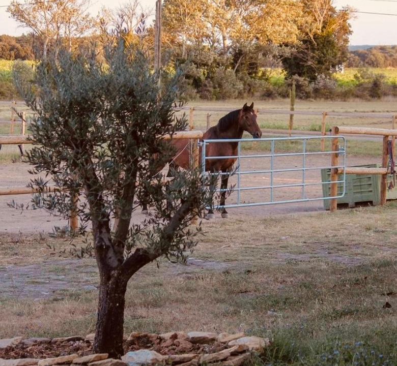 Photo of Others in Drome Sud Provence