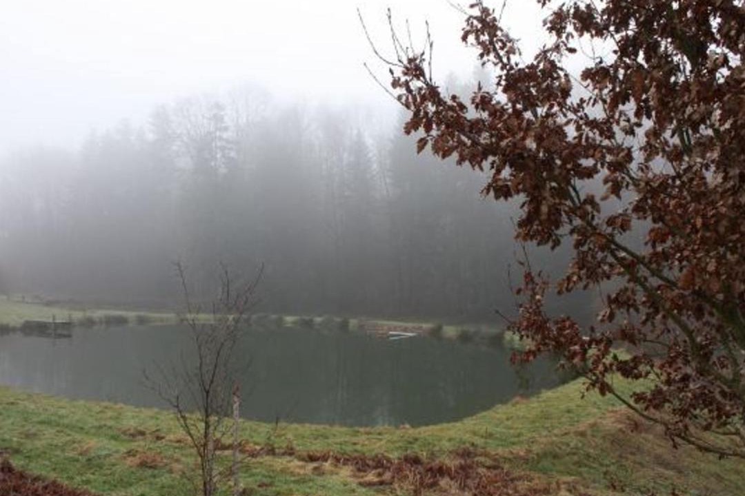 Photo of Others in Le Val-d'Ajol