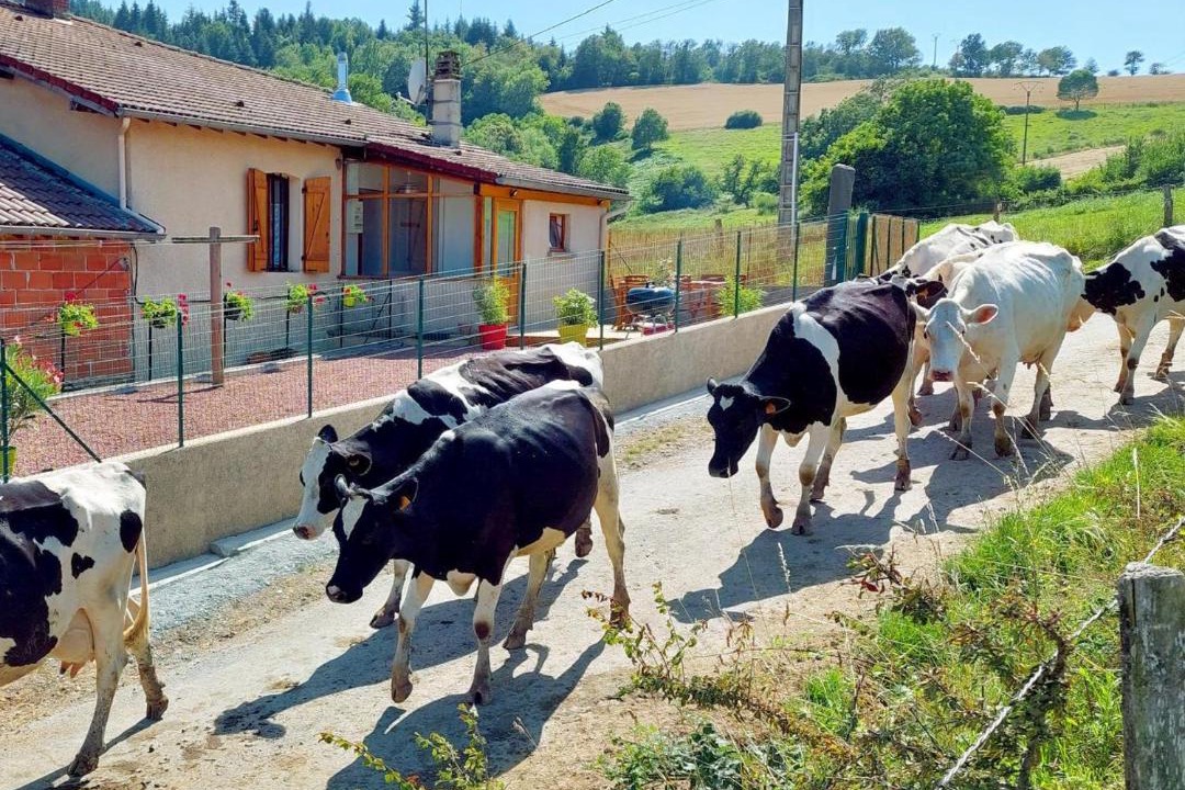 Photo of Others in Saint-Marcel-dʼUrfe