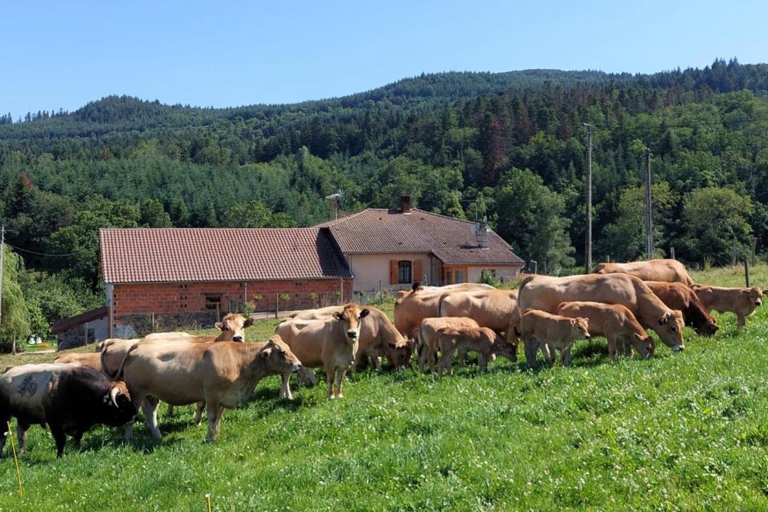 Photo of Others in Saint-Marcel-dʼUrfe