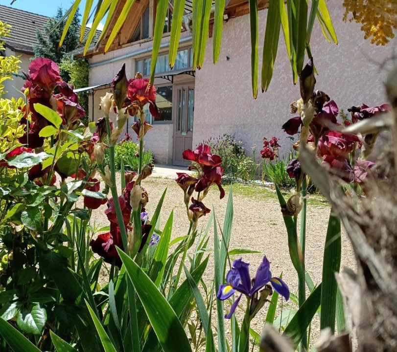 Photo of Others in Ameugny
